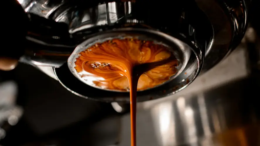 Unknown Botomless Portafilter